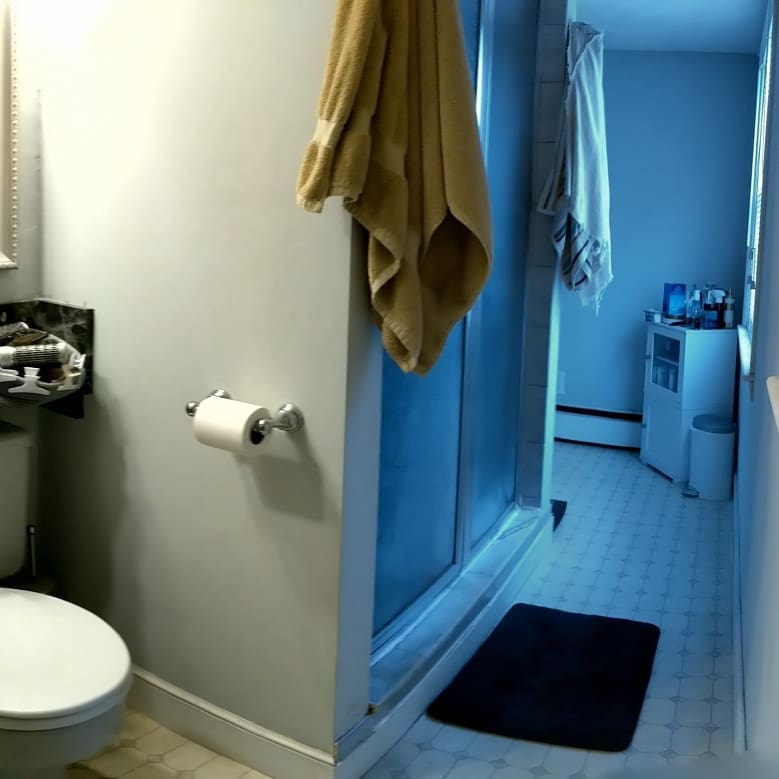 Bathroom remodel - before